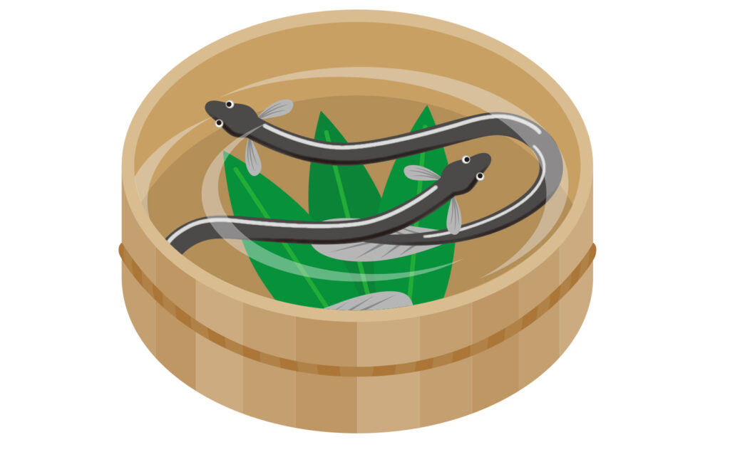 【イメージイラスト】
鰻