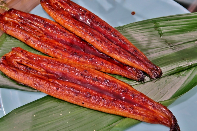 【イメージ画像】鰻の蒲焼き