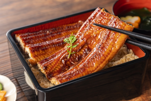 【イメージ画像】土用の丑の日 うな重