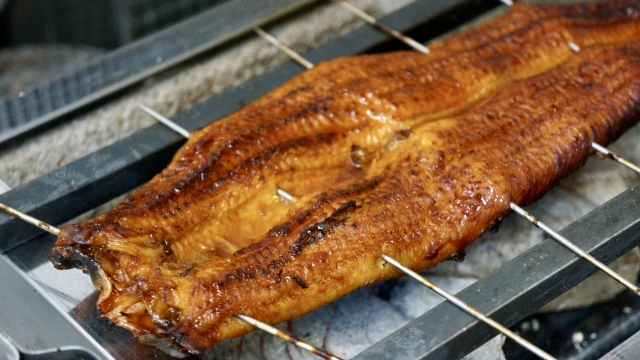 【イメージ画像】鰻の炭火焼き