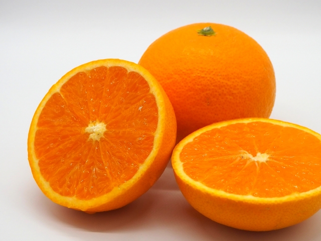 【イメージ画像】清見