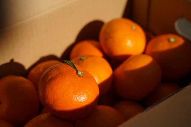 【イメージ画像】愛媛県産の温州みかん