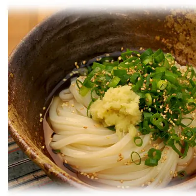 亀城庵讃岐うどん〔画像引用元:亀城庵公式ネットショップ〕