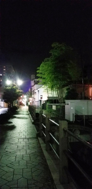 【イメージ画像】 道後 熱田津の道