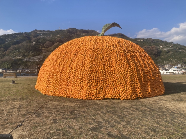 【イメージ画像】オアシス八幡浜みなっと芝生広場「巨大みかんオブジェ」